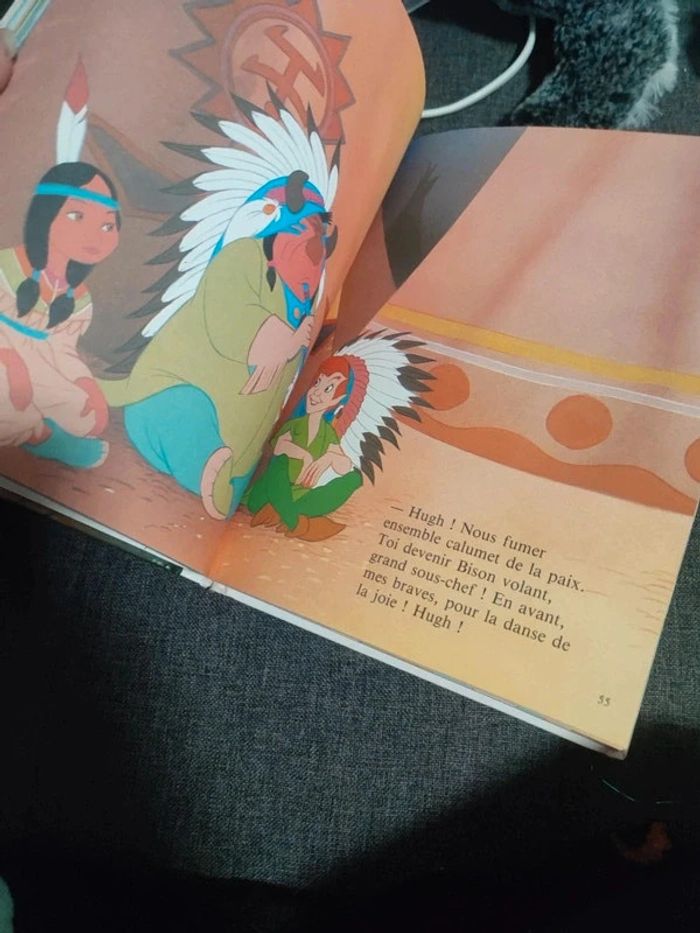 Livre Walt Disney - photo numéro 2