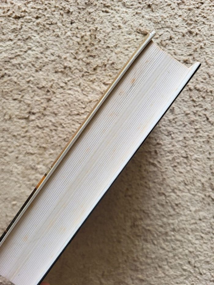 Livre relié "La dentellière d'Alençon", un roman historique de Janine Montupet - photo numéro 3