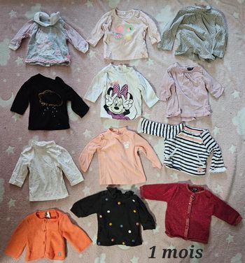 Gros lot 12 vêtement bébé 1 mois. 8 tee-shirts, 2 vestes, 2 pull