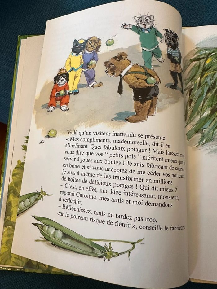 Livre vintage Caroline et le potager ensorcelé jardin album bd Pierre Probst traditionnel - photo numéro 4