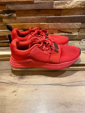 Basket puma