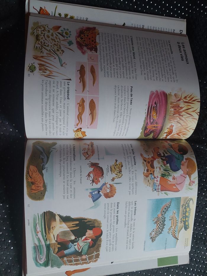 Le livre de la vie, petite encyclopédie - photo numéro 5