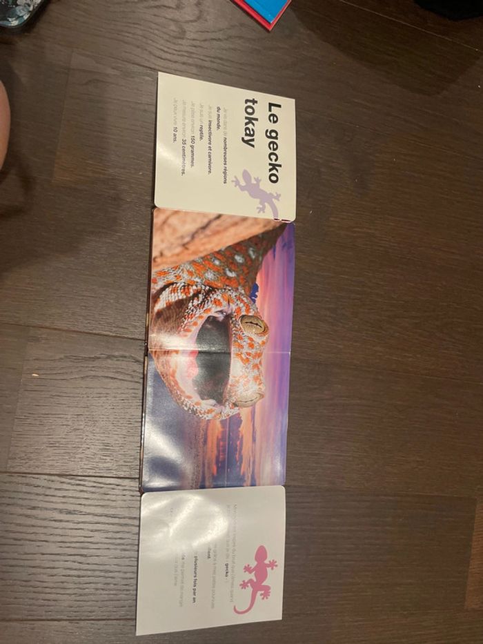 Drôles de peaux! - photo numéro 5