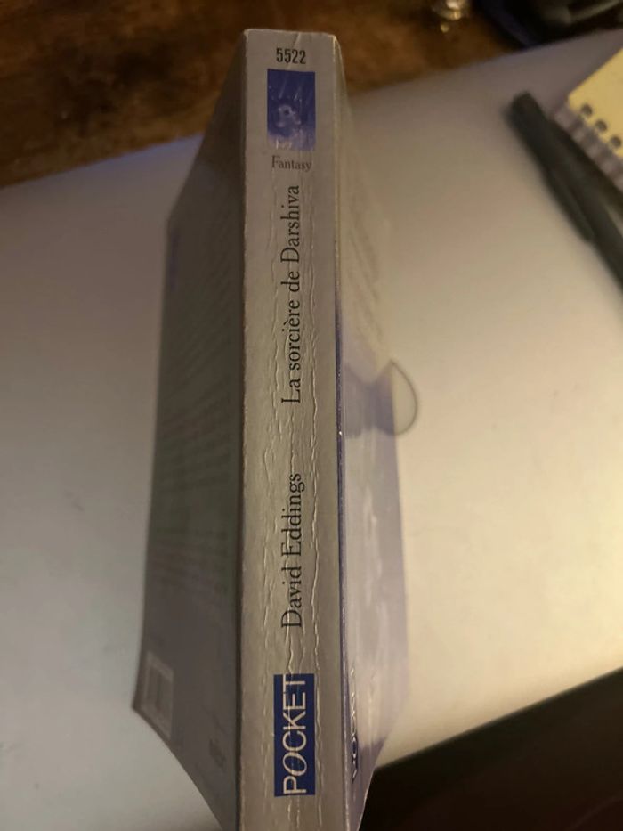 la sorcière de darshiva - photo numéro 3