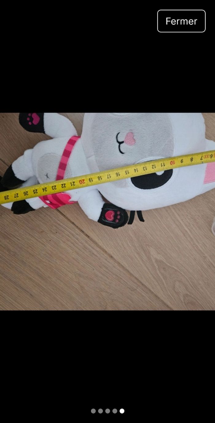 Pandy - photo numéro 5