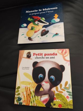 Lot 2 livres enfant mes p'tits albums