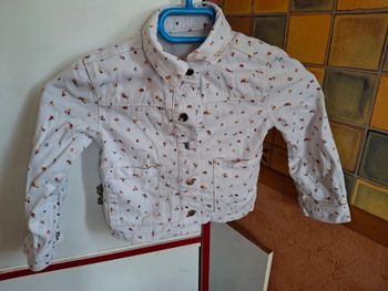 Veste