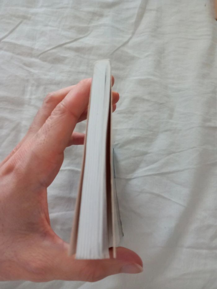 L'incroyable voyage - photo numéro 6