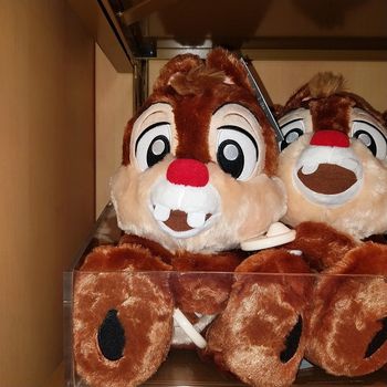 Pick-up Tac big feet Disney