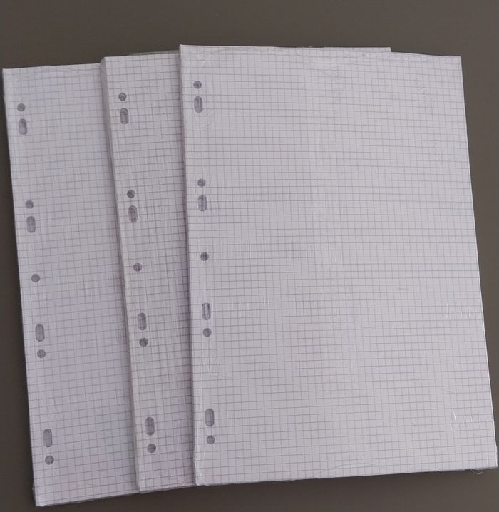 Copies doubles petits carreaux - photo numéro 3