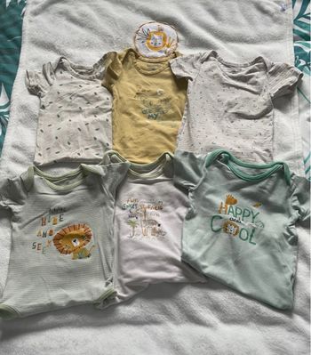 Lot bodies Orchestra 23 M