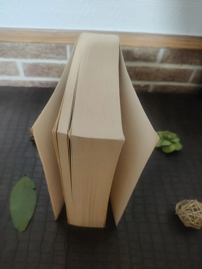 Inferno - Dan Brown - photo numéro 3