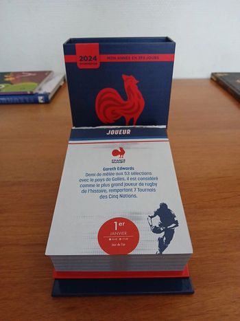 Mon année en 365 jours France rugby