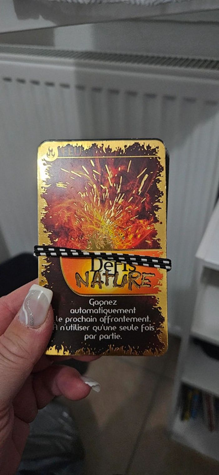 Lot défis nature - photo numéro 4