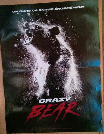 Affichette du film crazy bear 🐻
