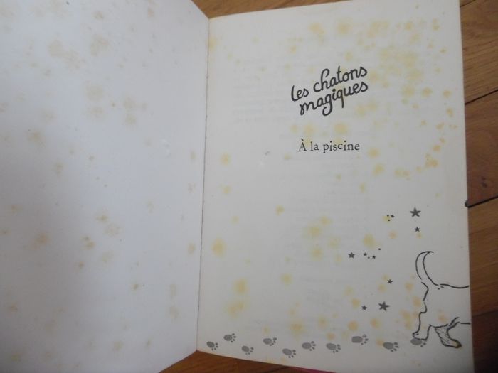 Les chatons magiques - photo numéro 4
