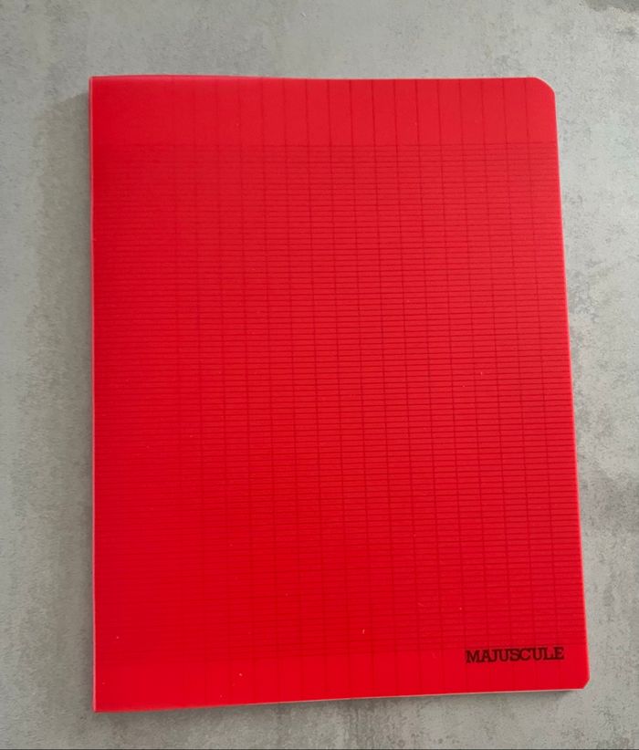 Cahiers étiquettes intercalaires pochettes transparentes - photo numéro 7