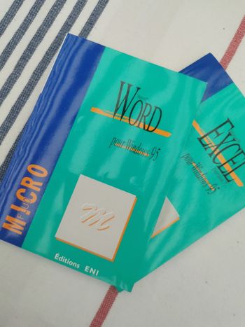 Lot de 2 livres pour Windows 95 Microsoft Word et Excel
