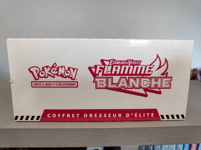 ETB ev10.5 flamme blanche FR - photo numéro 5