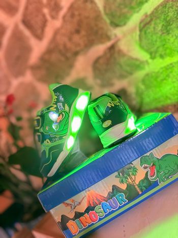 Basket dinosaures lumière 