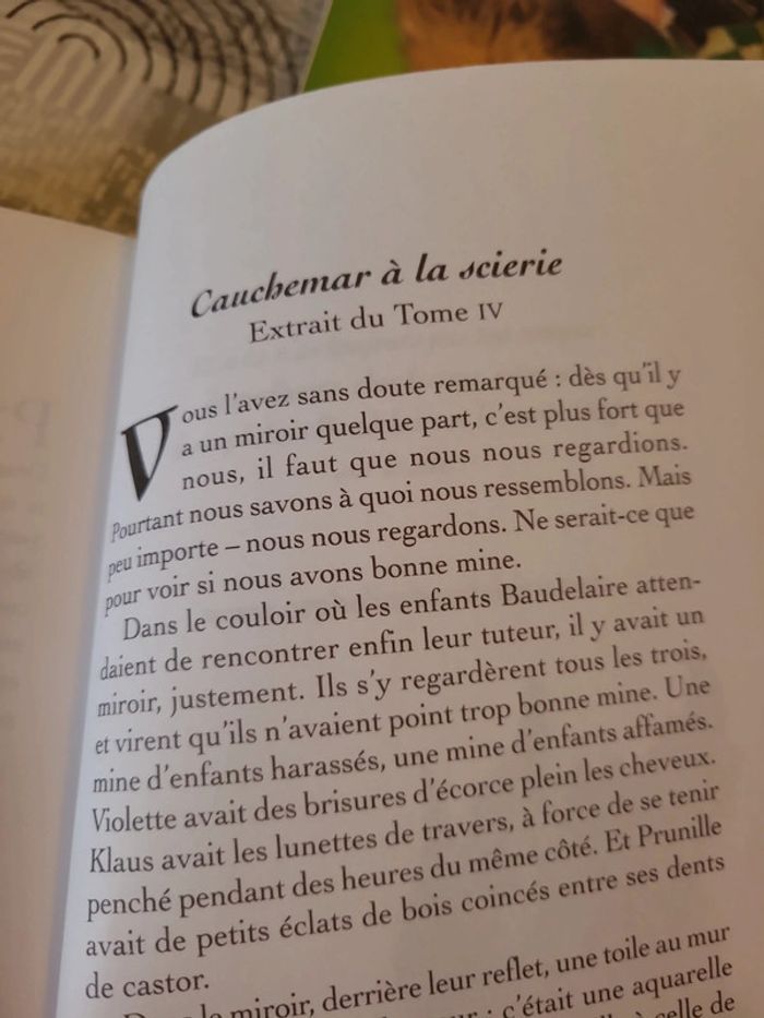 Les désastreuses aventures des orphelins de baudelaire - photo numéro 9
