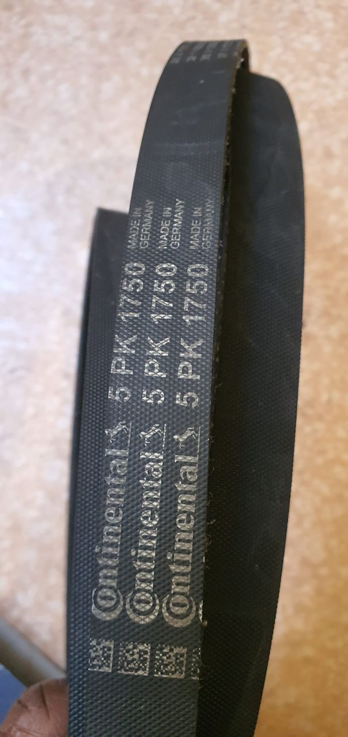 Courroie d'accessoire - photo numéro 3