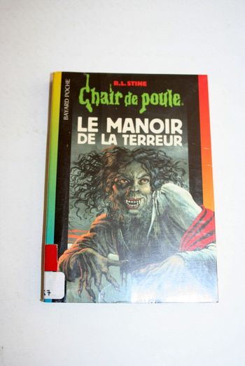 Chair de poule n°57 Le manoir de la terreur de R.L.Stine, Bayard