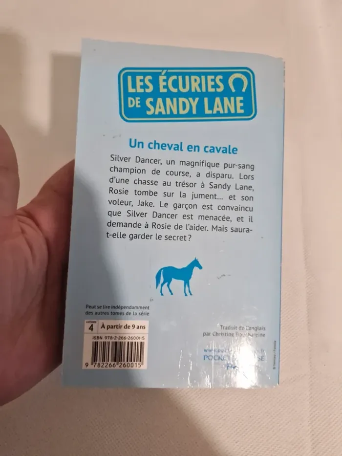 Les Écuries de Sandy Lane – Un cheval en cavale Michelle Bates 9782266260015 - photo numéro 2