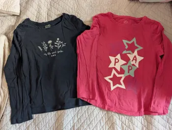 Lot de 2 tee shirts