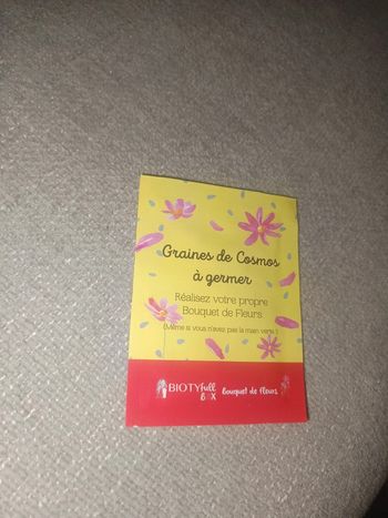 Graines de cosmos à germer