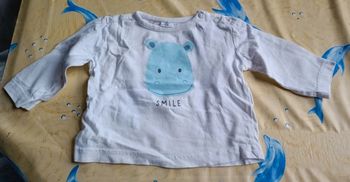 T-shirt 62 hippopotame