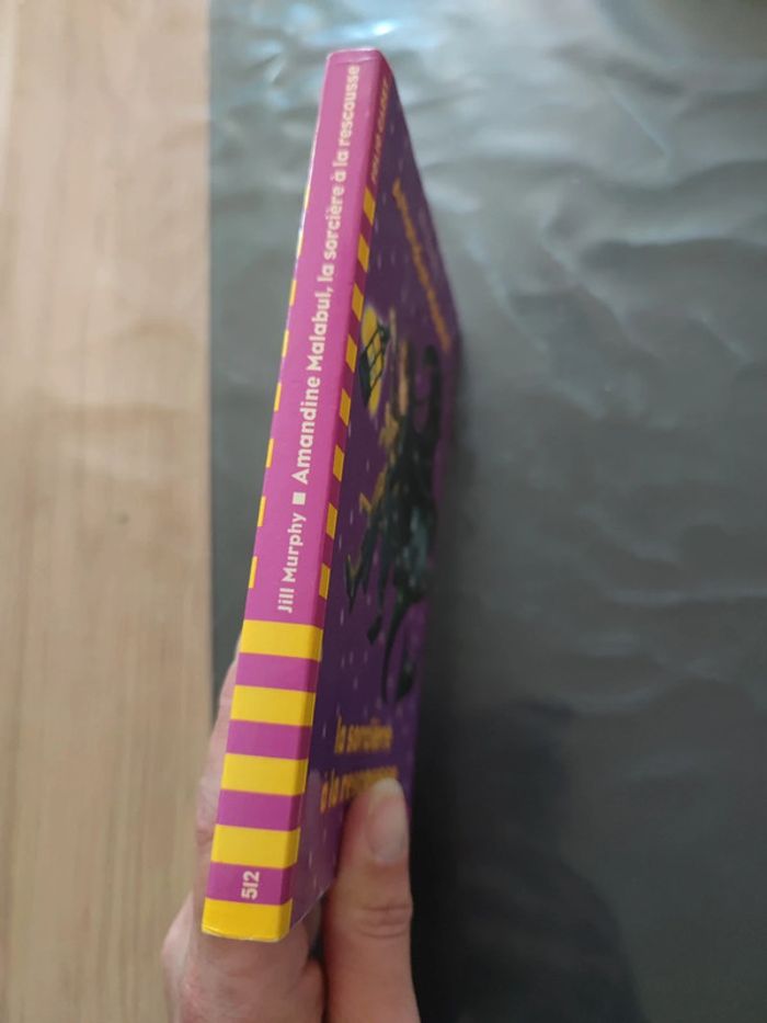 Livre la sorcière a la rescousse - photo numéro 3