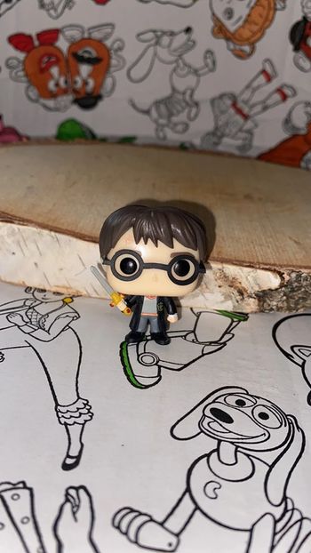 Harry potter avec sont épée