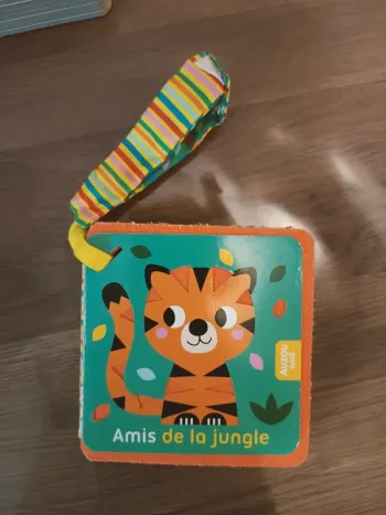 Livre Amis de la jungle Auzou