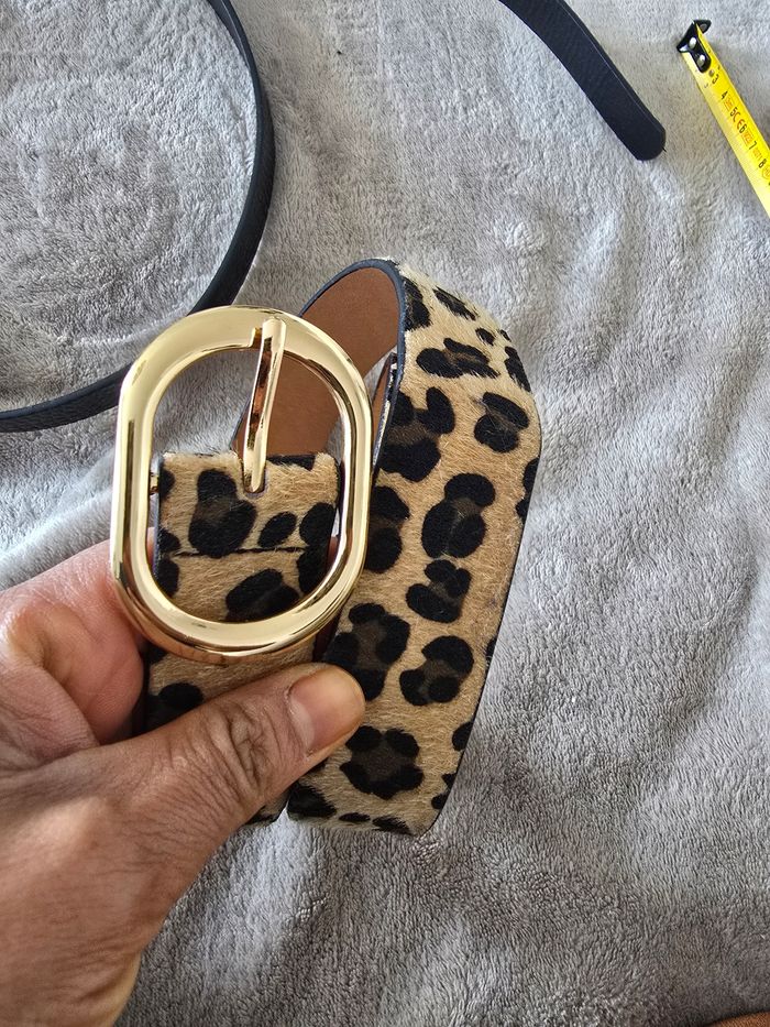 Ceinture - photo numéro 2