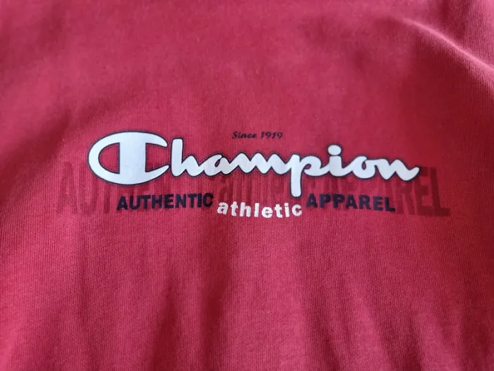 Sweat Champion - photo numéro 3