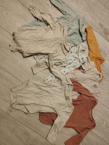 Lot bodies filles 12 mois