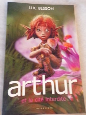 Livre arthur et la cité interdite Tom 2 Luc Besson