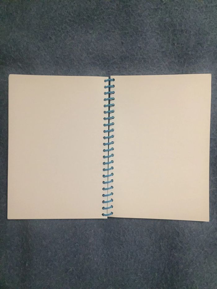 Carnet Ratatouille - photo numéro 3