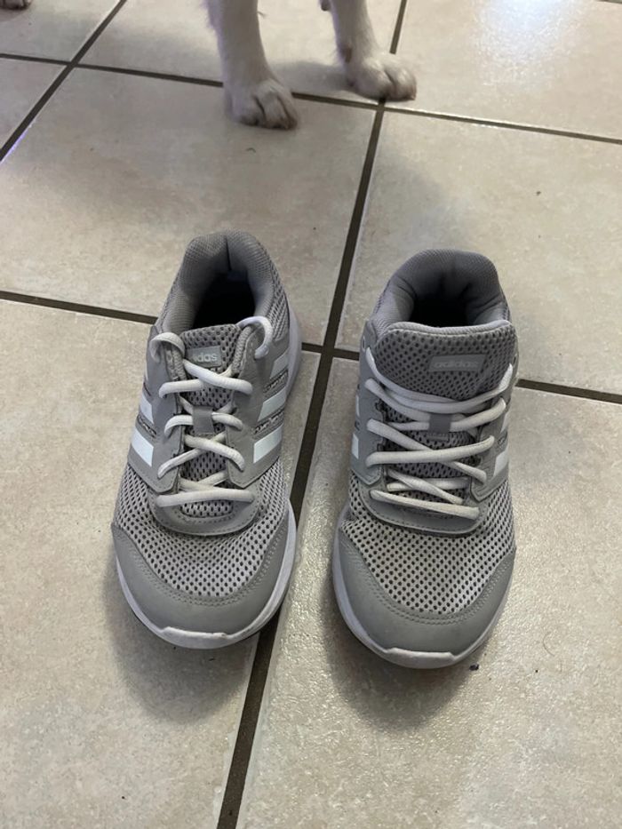 Paire de basket Adidas grise - photo numéro 2