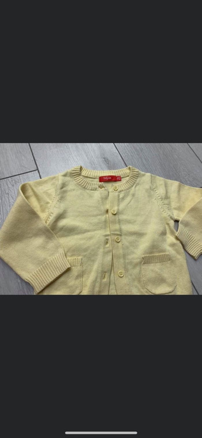 Gilet jaune - photo numéro 2