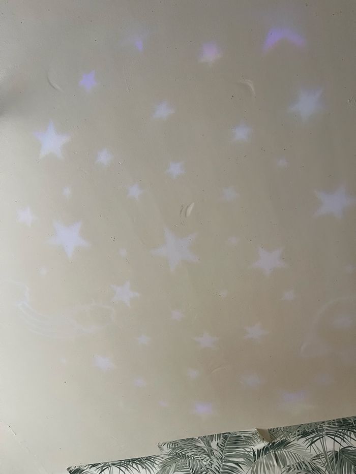 Licorne veilleuse - photo numéro 6