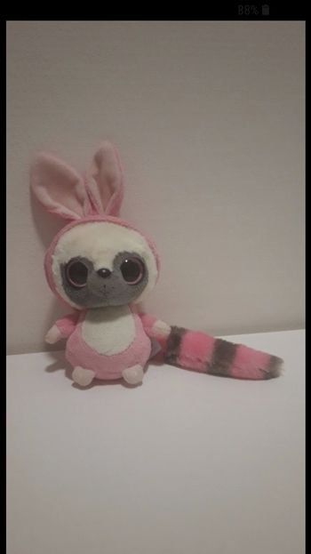 Peluche avec capuche