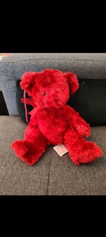 Peluche ours