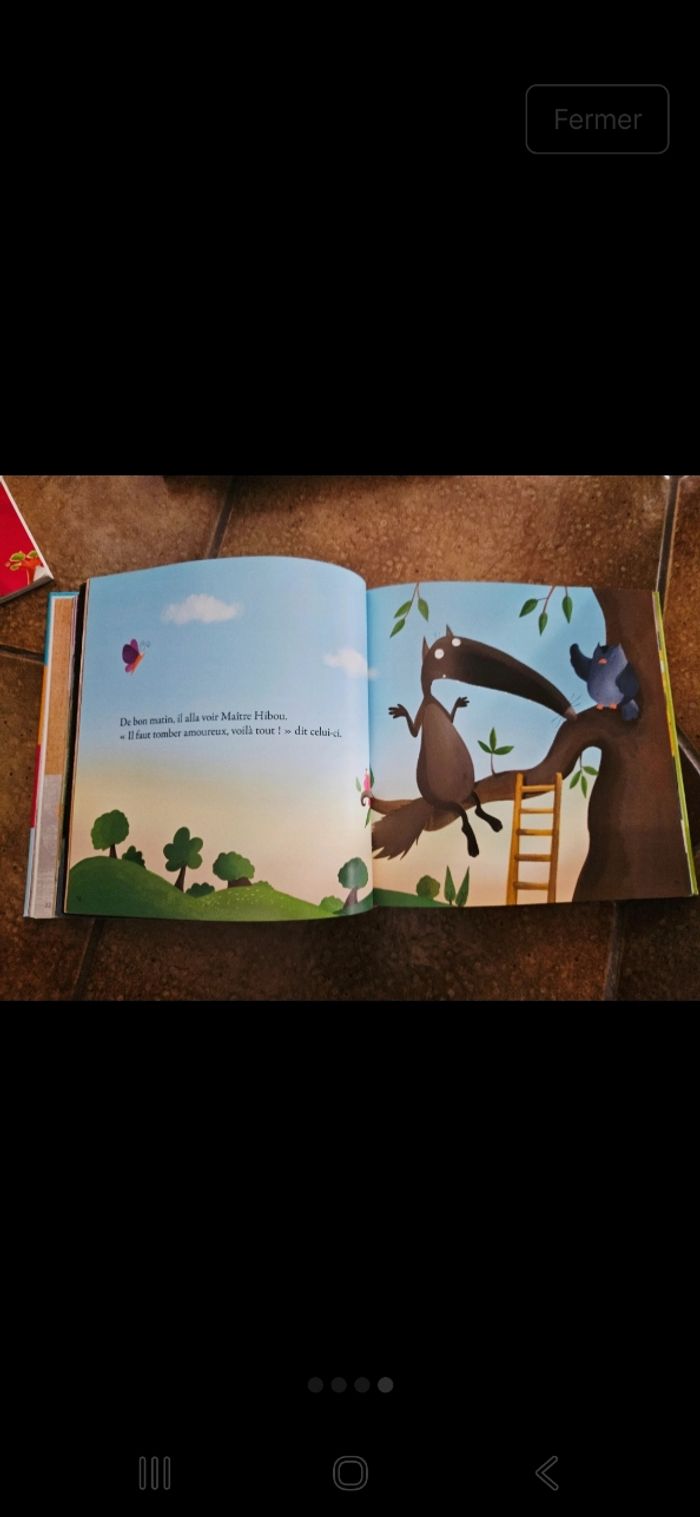Livre enfant "mes histoires de Loup" volume 1 - photo numéro 2