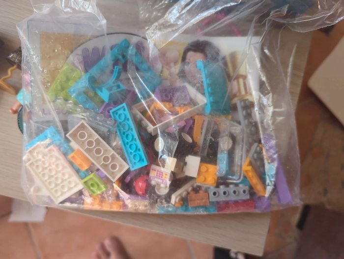 Lego Friends 41310 - photo numéro 2