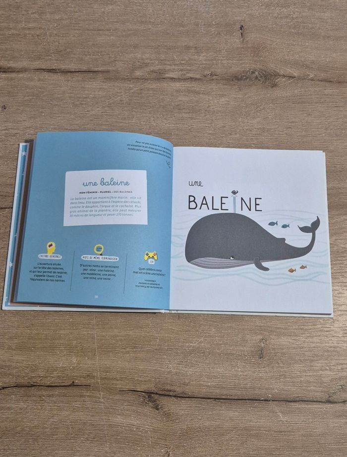 Un petit dessin vaut mieux qu'une grande leçon - photo numéro 6