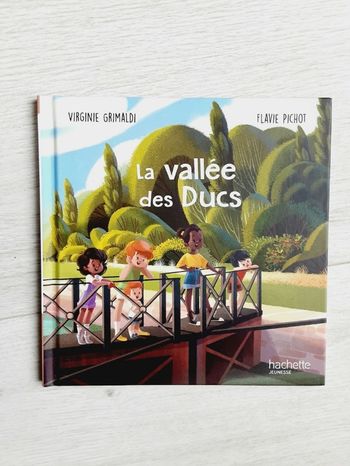 Livre Hachette Jeunesse,  La vallée des ducs Neuf