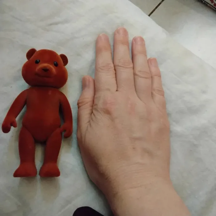 Ours 🐻 - photo numéro 7
