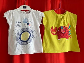 Lot de 2 tee-shirts 18 mois Dpam